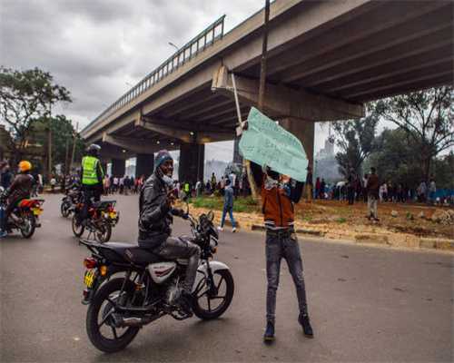平邑县德成木业有限公司简介