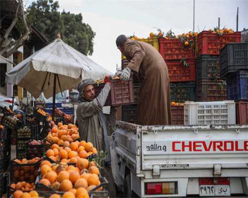 佳诺威木业：耕耘实业 回馈社会