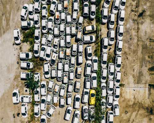 上海菲林格尔木业股份有限公司