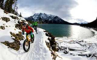 木薯是怎样的一种植物，如何制作木薯粉