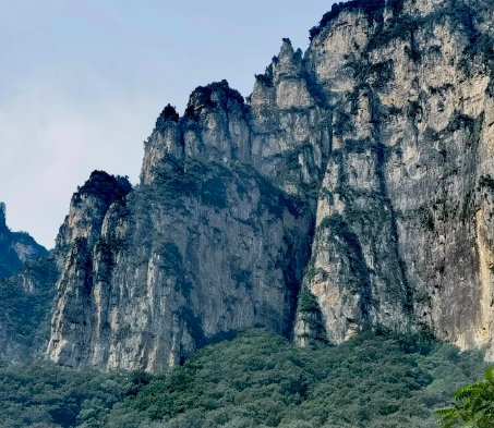 比木村拓哉更好看的，是木村拓哉做的饭