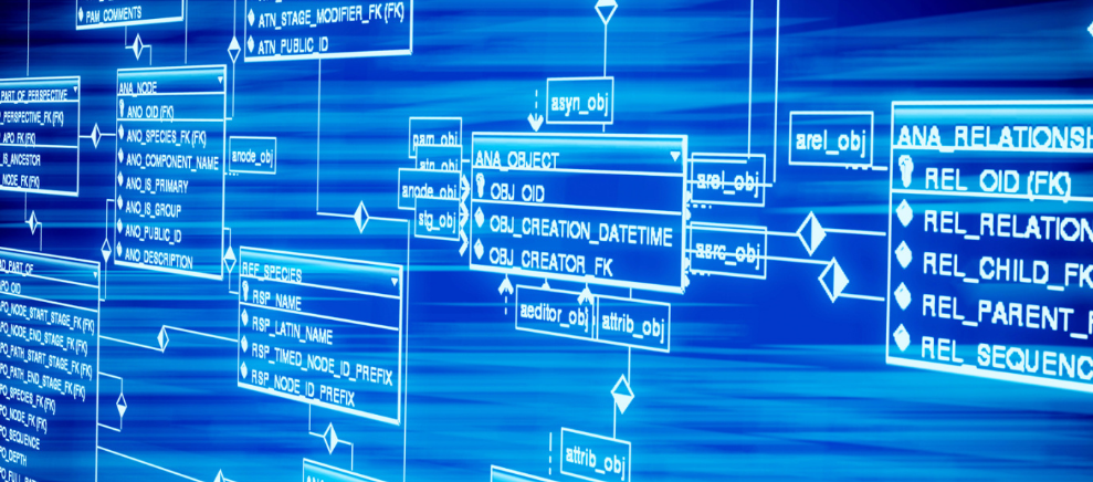 比木村拓哉更好看的，是木村拓哉做的饭