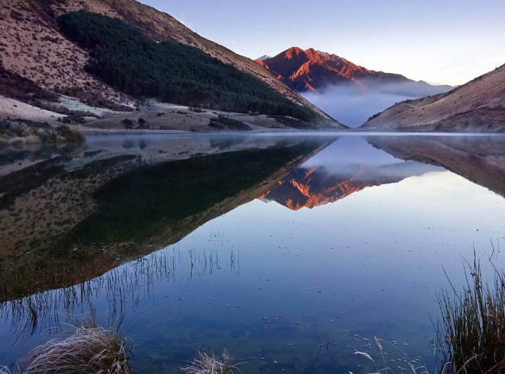 木薯粉是什么 木薯粉是淀粉吗
